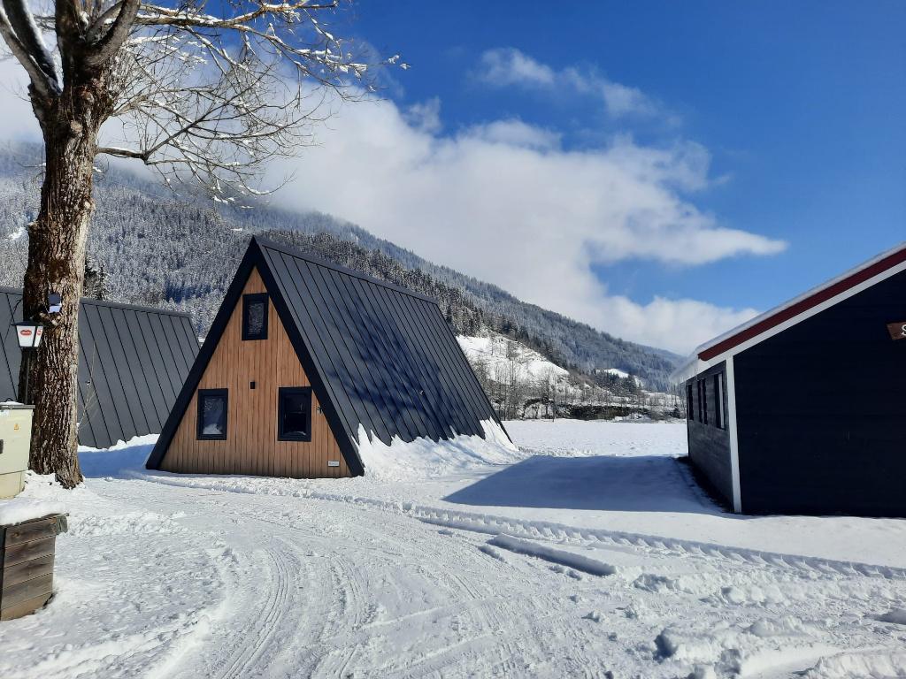 Lastminute 6p-chalet wintersport zonnig Karinthië Oostenrijk