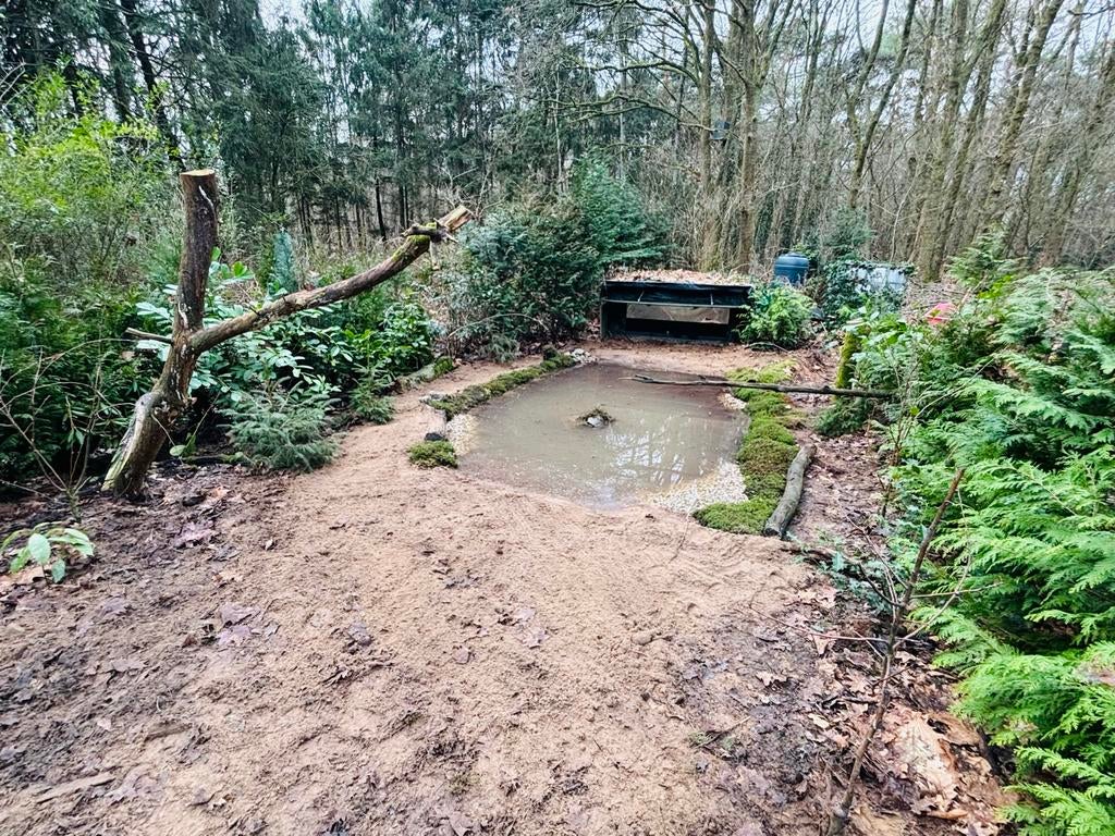 Grond te huur gezocht voor natuurfotografiehut in Hoogeloon