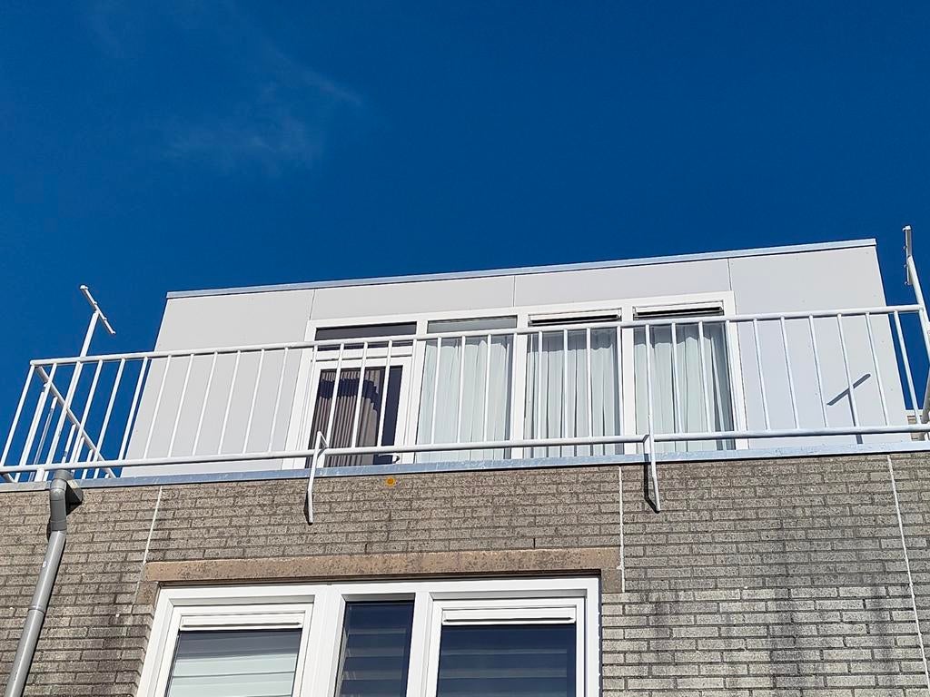 Fabricage, schilderen en installatie van metalen balustrades, Ophalen of Verzenden, IJzer, Sierhekwerk