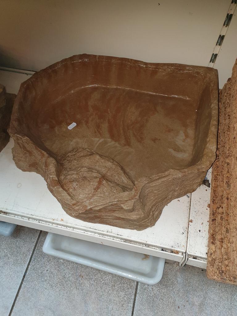 Nieuwe koningspythons en kameleons binnen!, 0 tot 2 jaar