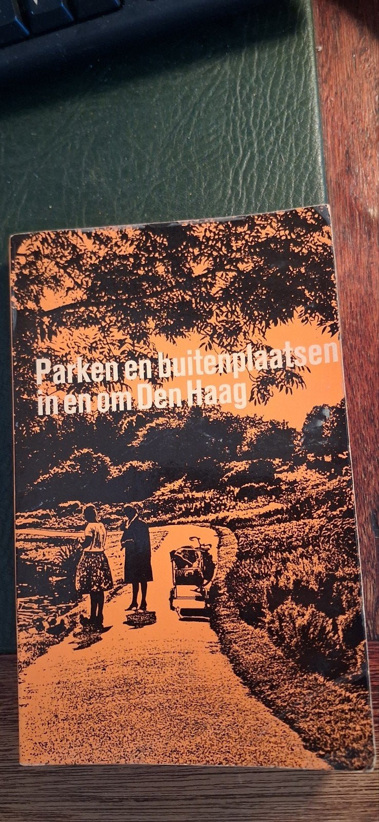 Parken en buitenplaatsen in en om Den Haag, Boeken, Geschiedenis | Stad en Regio, Ophalen of Verzenden, 20e eeuw of later, Gelezen