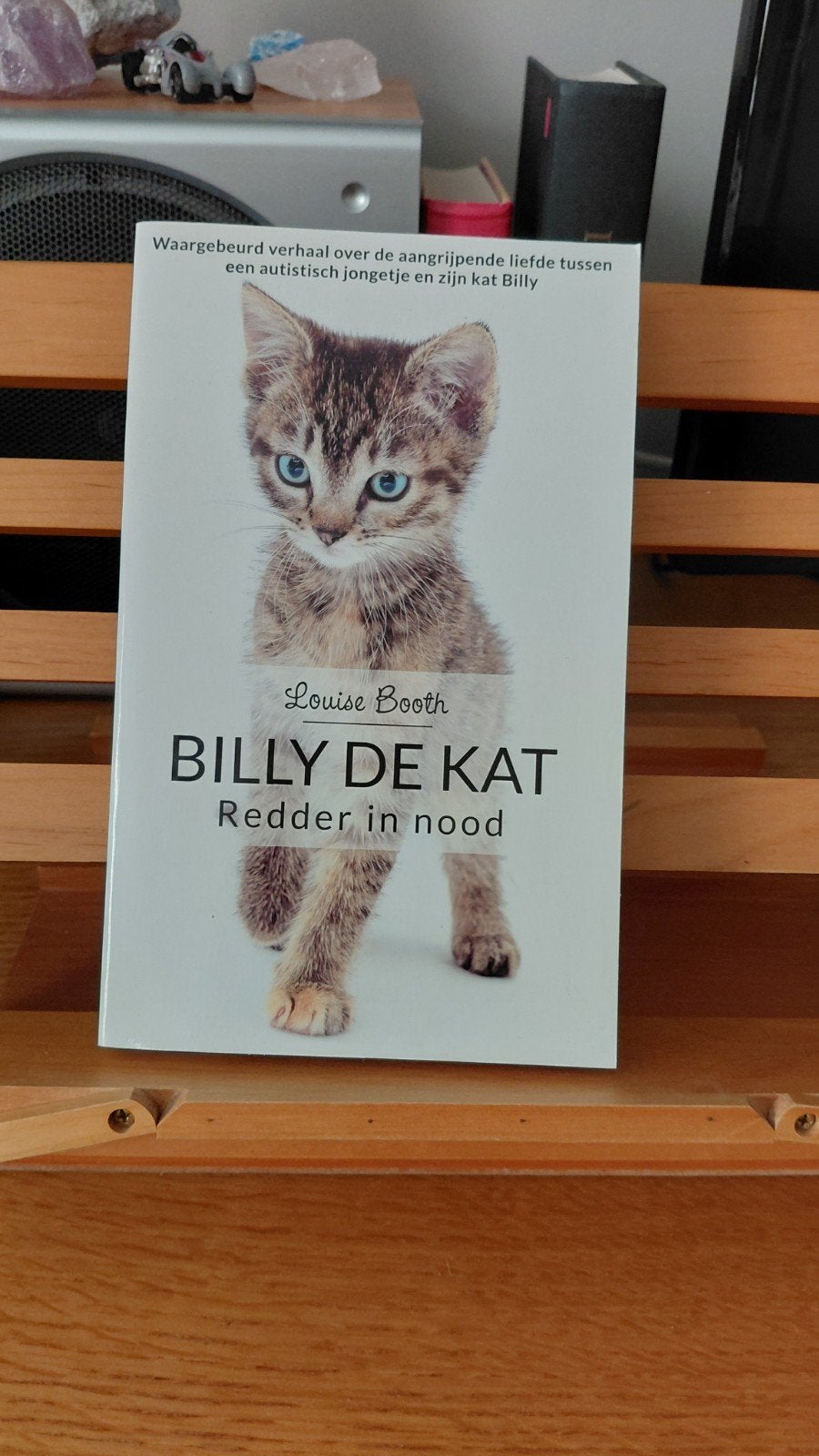 Billy de Kat: Redder in Nood - Waargebeurd Verhaal, Boeken, Ophalen of Verzenden, Gelezen, Louise Booth