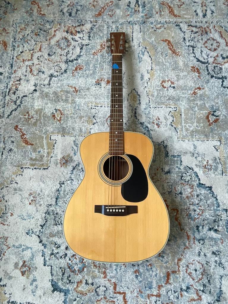 Aria Auditorium Westerngitaar - Vintage Model, Ophalen, Gebruikt, Western- of Steelstringgitaar