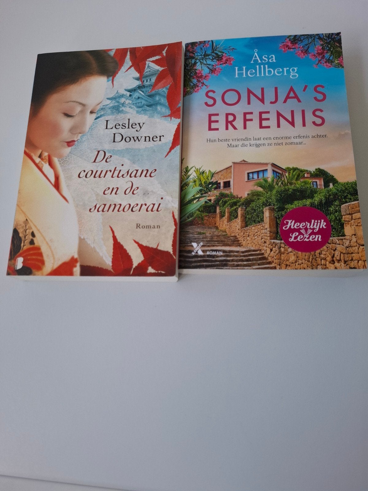 2 romans, Boeken, Ophalen of Verzenden, Gelezen, Lesley Downer, Åsa Hellberg, Nederland