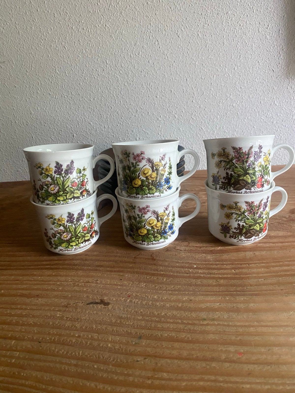 Hortus Botanicus Bavaria kop en schotel set, Huis en Inrichting, Overige merken, Keramiek, Vintage, Ophalen of Verzenden