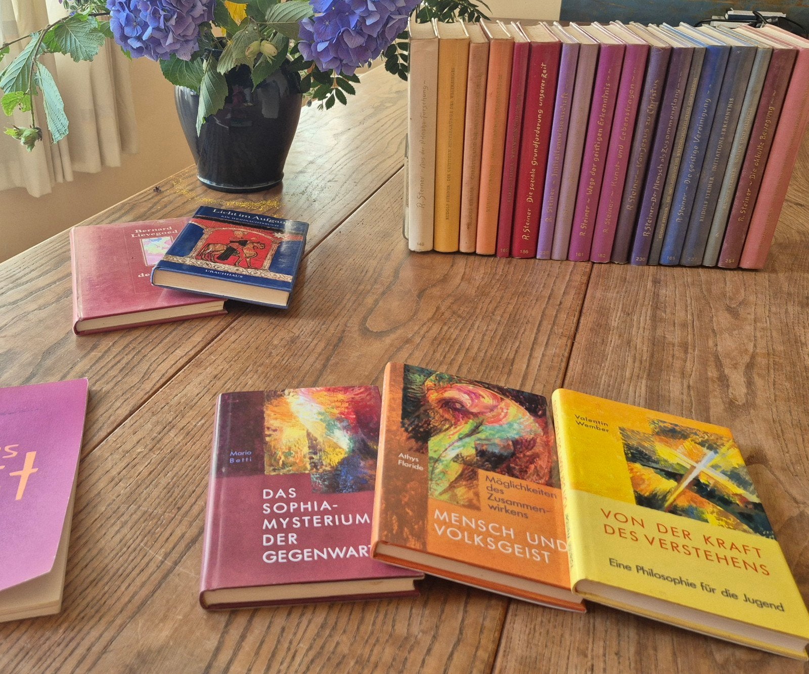 Antroposofie, Ophalen of Verzenden, Gelezen, Spiritualiteit algemeen, Achtergrond en Informatie