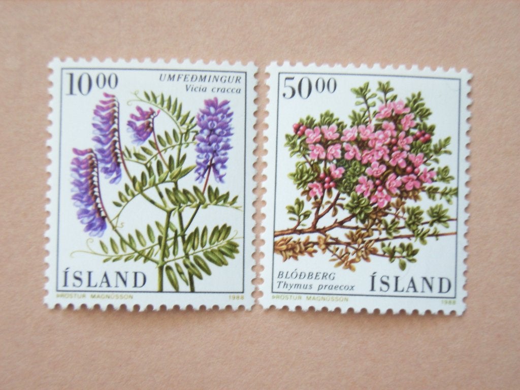 KZ  IJsland 689-690 Pf, Postzegels en Munten, Ophalen of Verzenden, IJsland, Postfris