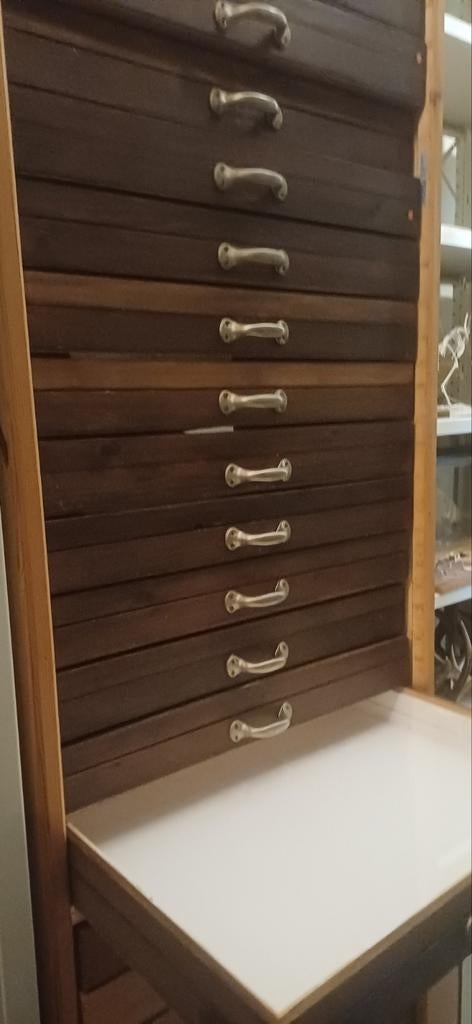 Entomologie kast met insectenlades vintage museum, Ophalen, Gebruikt