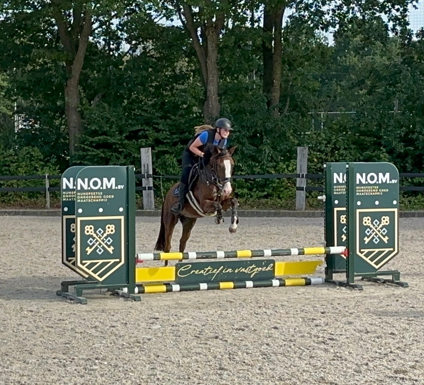 Fijne en brave D spring/ eventing pony, Gechipt, B, Ruin, Springpony