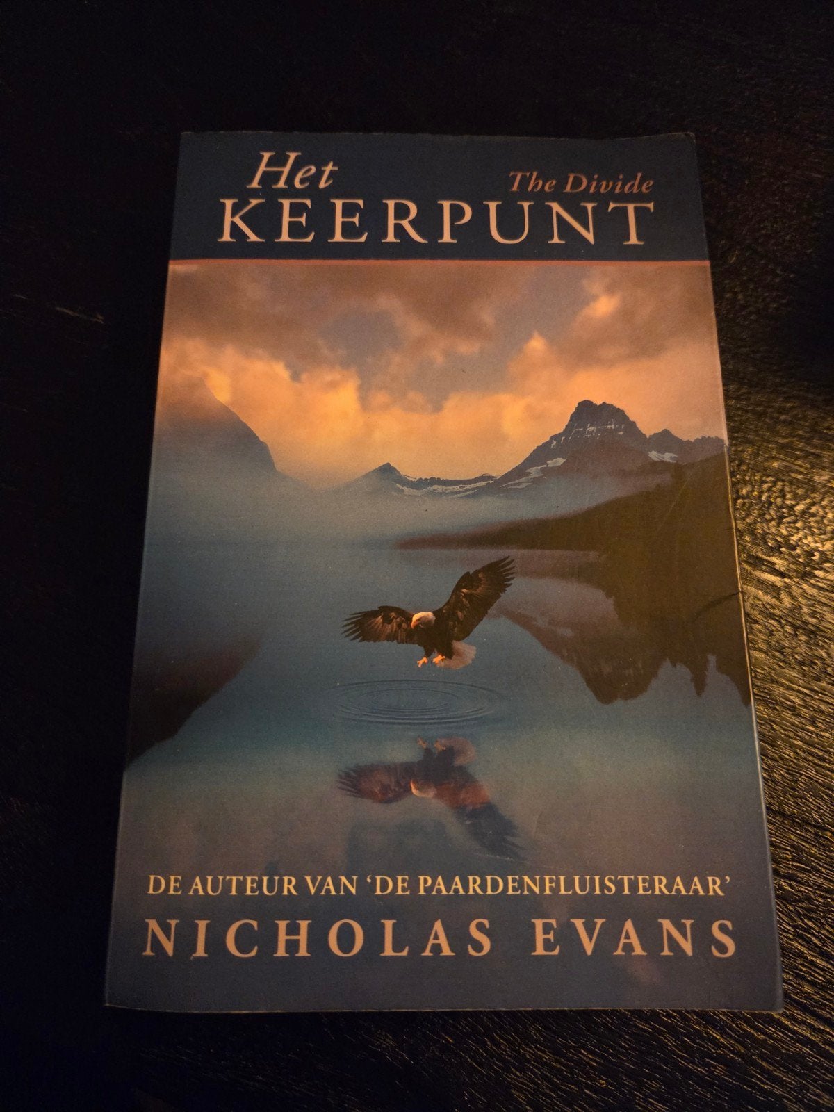 Het keerpunt. Nicholas Evans, Boeken, Ophalen of Verzenden