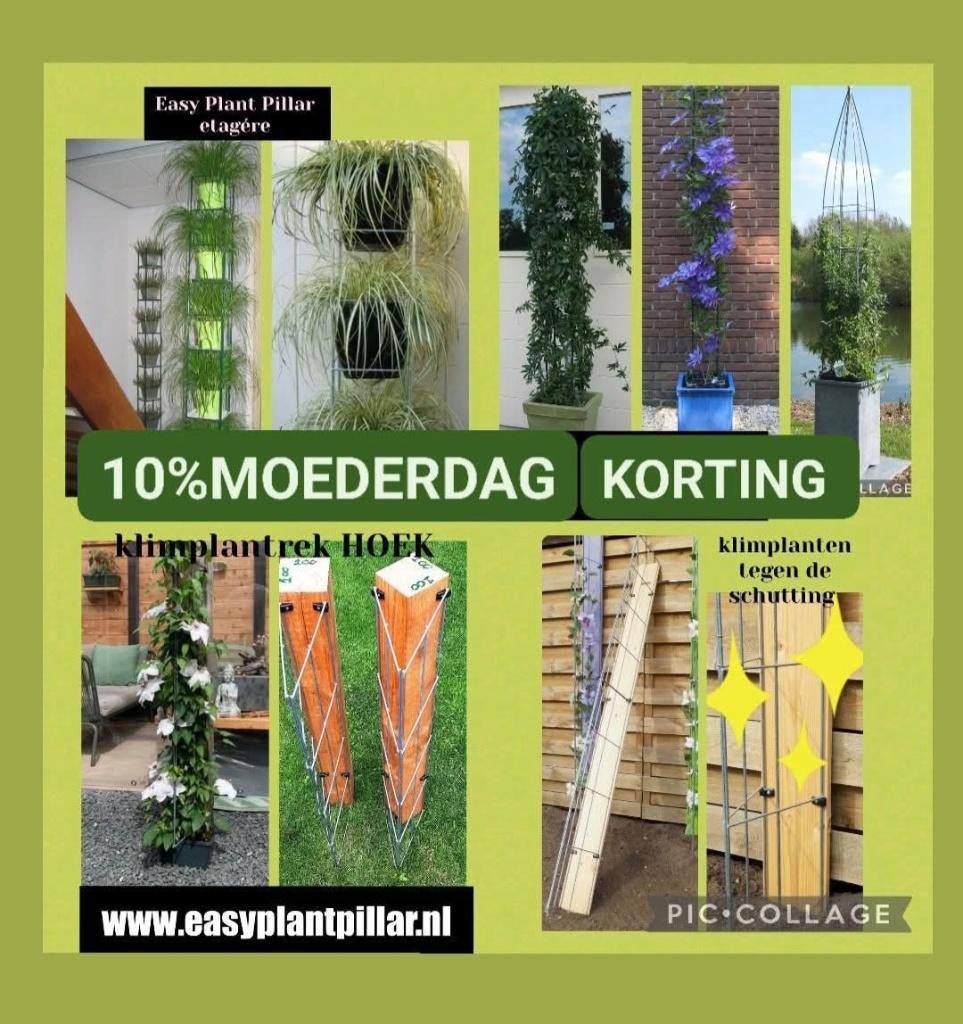 Draadzuilen draadrekken klimplantrekken plantenrek, Ophalen of Verzenden, Nieuw