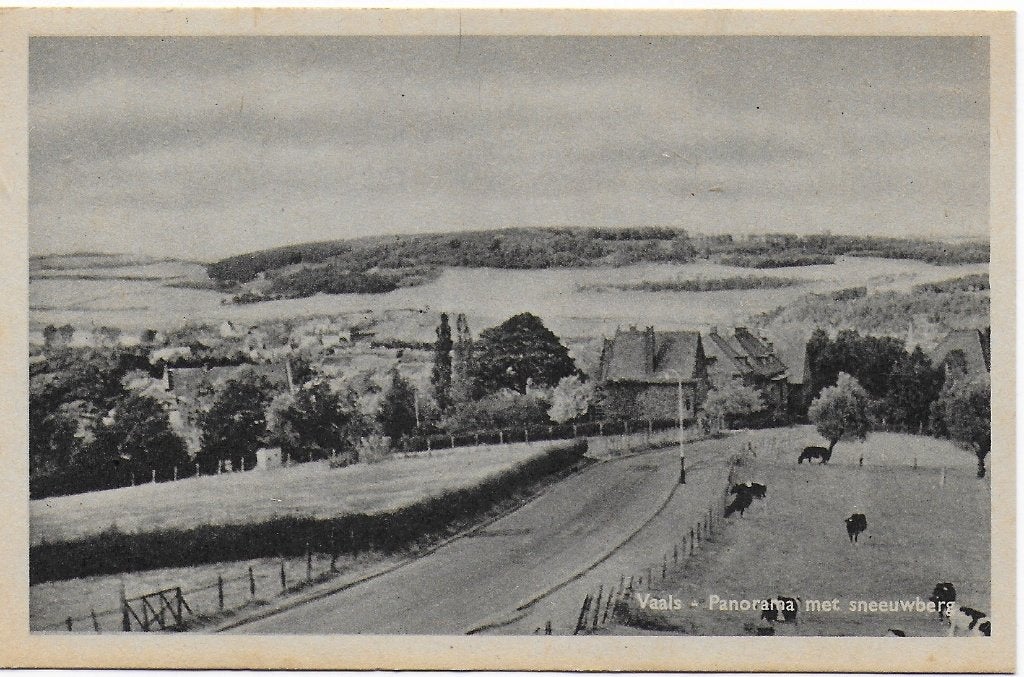 Vaals oude ongelopen ansichtkaart Panorama Sneeuwberg B4986, Ophalen of Verzenden, Voor 1920, Ongelopen, Limburg
