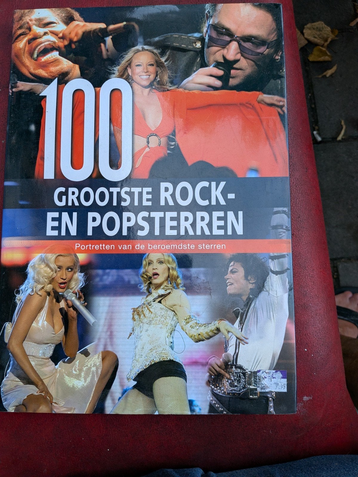 100 Grootste Rock- en Popsterren Boek, Ophalen of Verzenden, Gelezen, Artiest, Onbekend