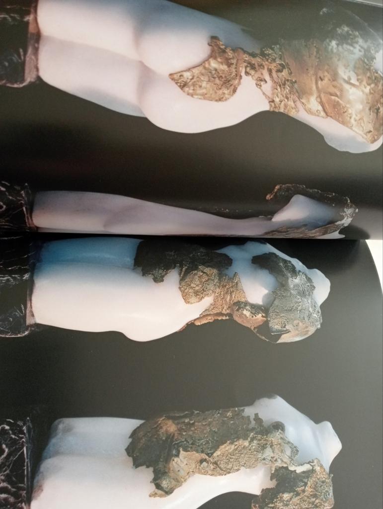 Gerti Bierenbroodspot Atlantis Kunstboek, Ophalen of Verzenden, Gelezen, Beeldhouwkunst, Bierenbroodspot