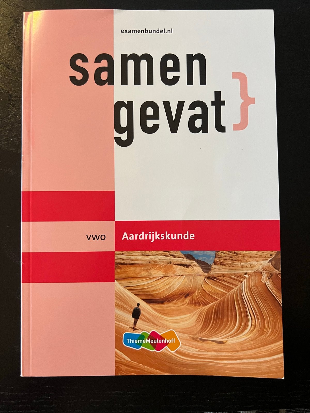 Samengevat Aardrijkskunde VWO - Examenbundel, Ophalen of Verzenden, Gamma, Gelezen, Overige niveaus