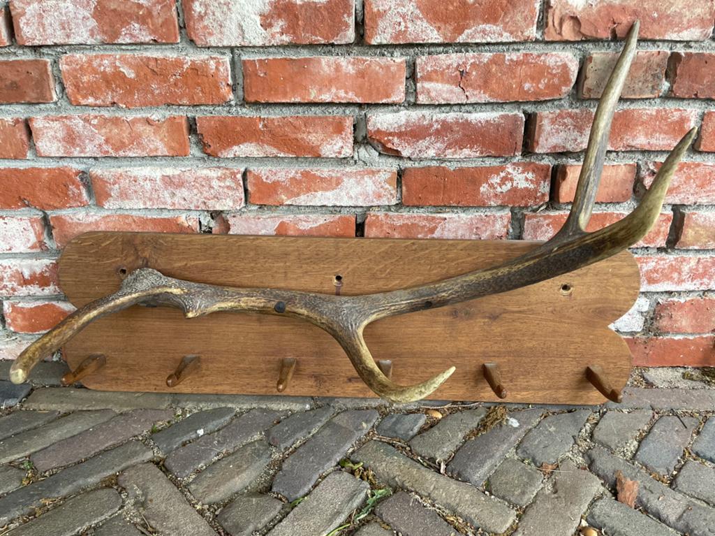 Hertengewei kapstok met 6 haken, 80x50 cm, Wandkapstok, Overige materialen, Gebruikt, Ophalen of Verzenden