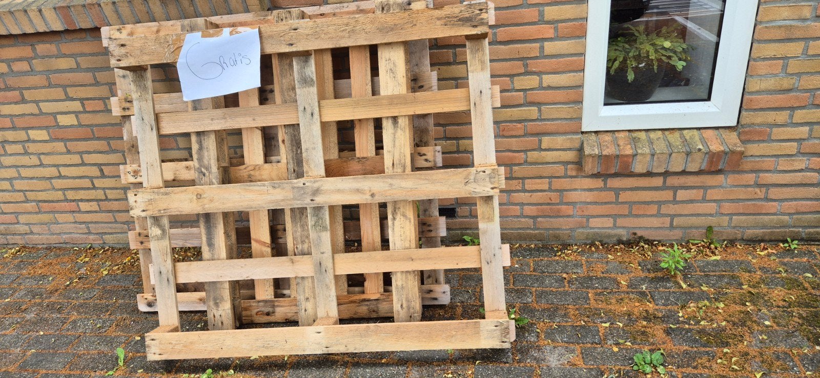 Gratis pallets af te halen in Alkmaar, Doe-het-zelf en Verbouw, Hout en Planken, Ophalen of Verzenden, Gebruikt, Pallet