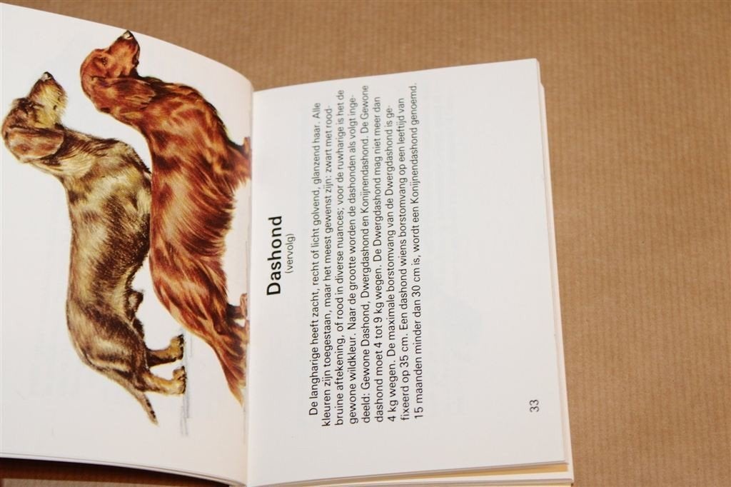 Honden — Naslaggids Hondenrassen, Mininatuurgids, Ophalen of Verzenden, Gelezen, Honden
