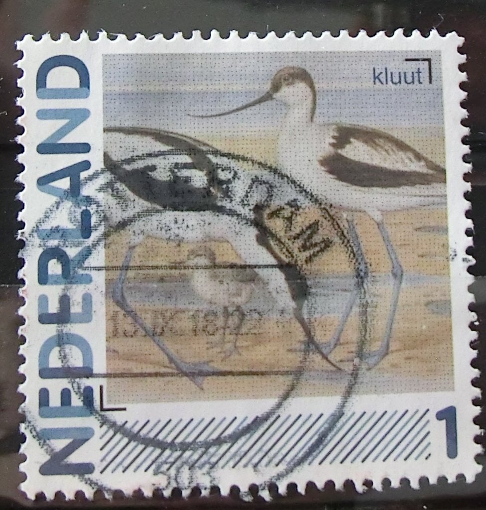 persoonlijke postzegel, Vogels, gest (lees aub), Ophalen of Verzenden, Na 1940, Gestempeld