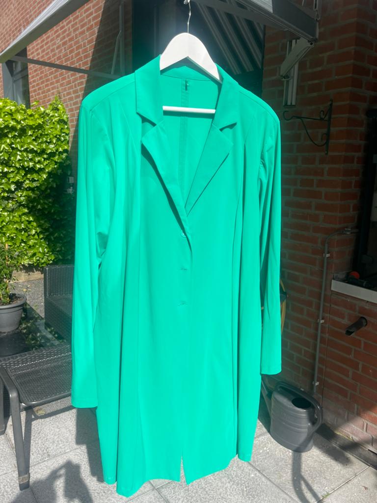 Groen Plus basics plusbasics pak maat 50/52, Kleding | Dames, Grote Maten, Verzenden, Zo goed als nieuw, Groen