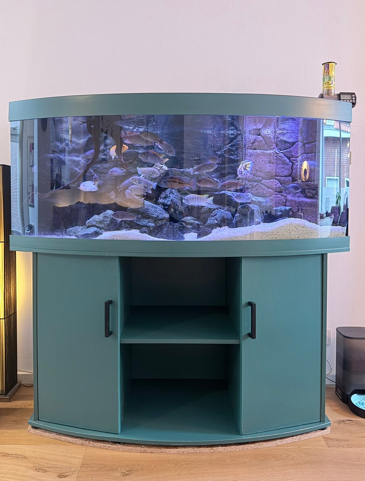Juwel Vision 450 (zonder vissen), Ophalen, Gebruikt, Inclusief deksel, Leeg aquarium