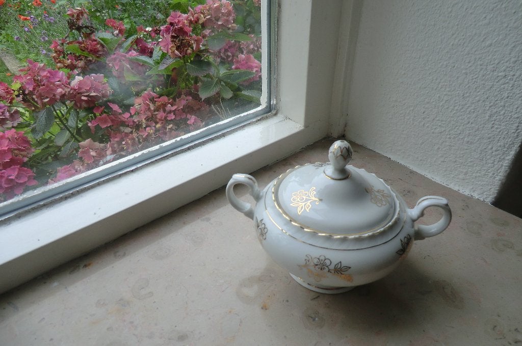 suikerpot / suikerpotje met deksel - TK Thun Czechoslovakia, Ophalen of Verzenden