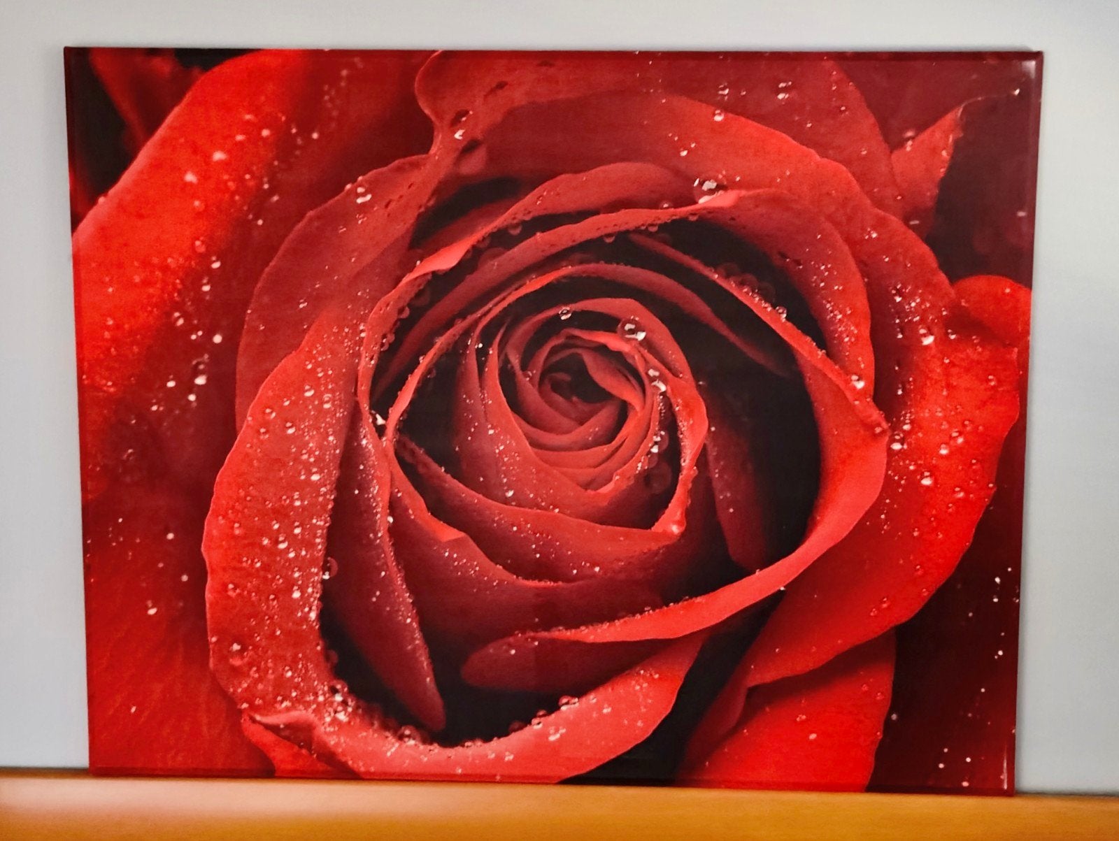 Schilderij Rode Roos op doek, 138x107 cm, licht houten frame, Ophalen, Nieuw, 125 cm of meer, Schilderij