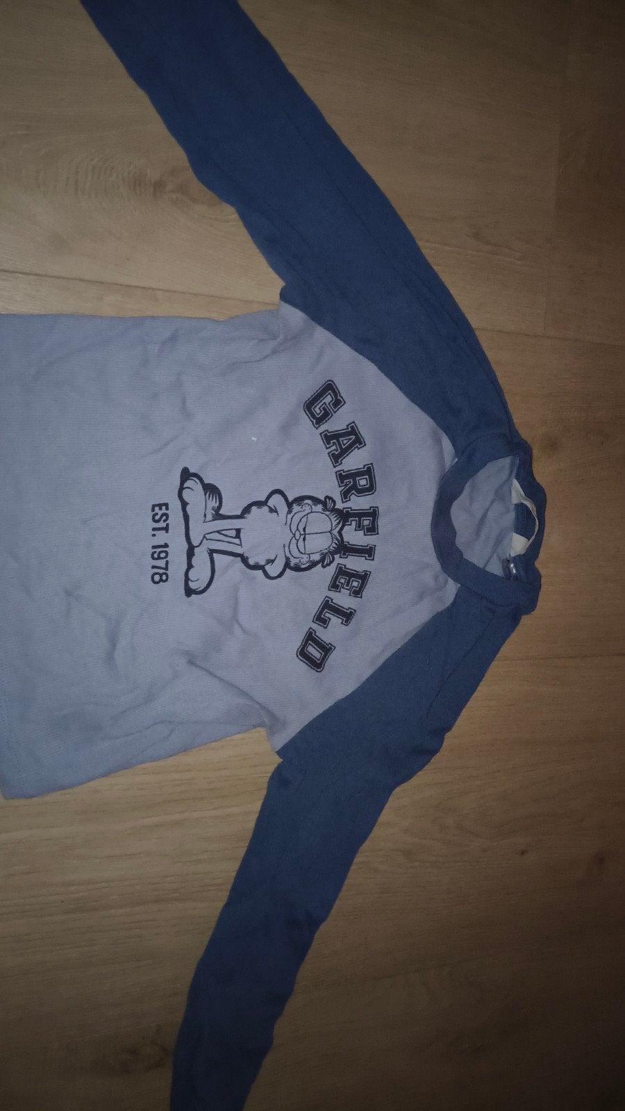 H&M Garfield Longsleeve - Maat 146/152, Kinderen en Baby's, Kinderkleding | Maat 152, Gebruikt, Jongen of Meisje, H&M, Ophalen of Verzenden