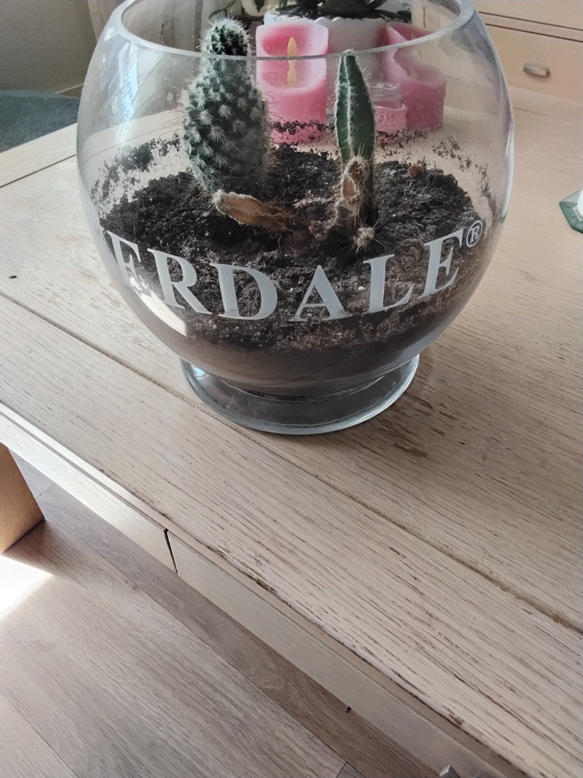 Glazen terrarium met cactussen merk riverdale hoogte 22cm, Meerkleurig, Ophalen of Verzenden, Zo goed als nieuw, Modern