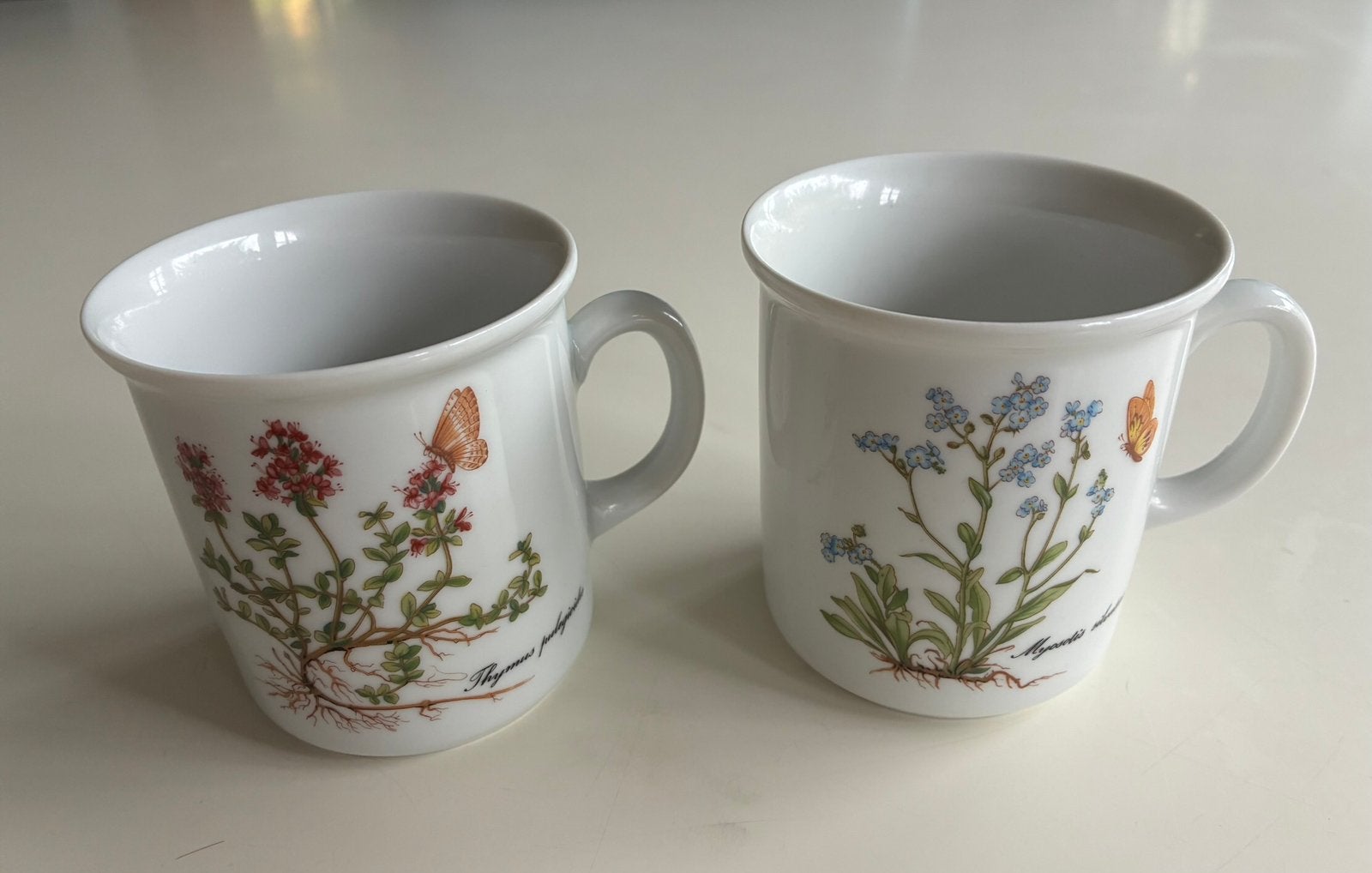 Set van 2 Bavaria mokken met bloemmotief, Ophalen of Verzenden, Zo goed als nieuw, Overige stijlen, Kop(pen) en/of Schotel(s)
