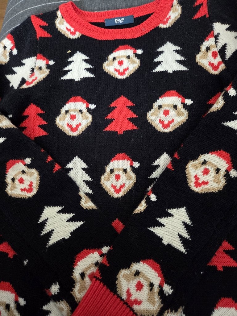 Kersttrui AH, maat 158/164, Ophalen, Gebruikt, Jongen of Meisje, Trui of Vest
