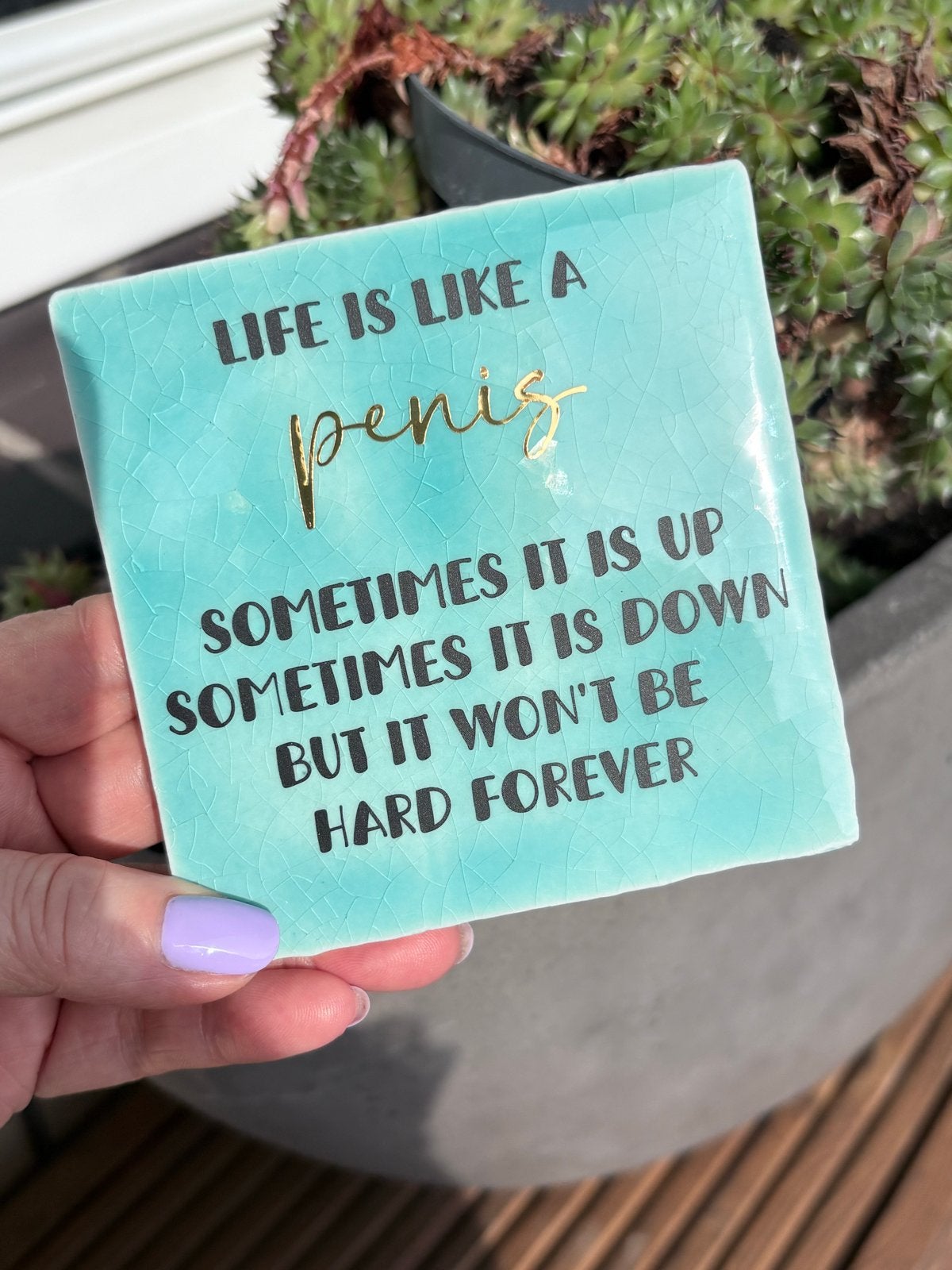 Tegeltje met humoristische tekst - Cadeau, Verzenden, Handgemaakt, Nieuw, 10 cm