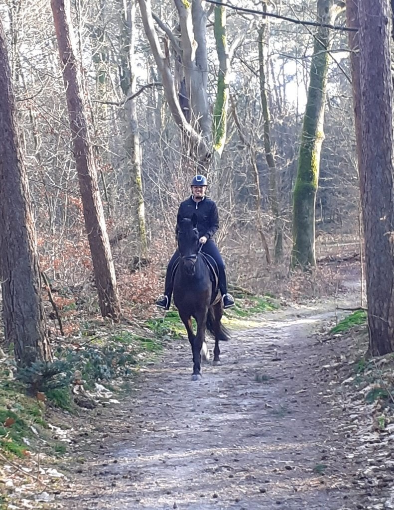 Per direct op zoek naar een verzorgster voor mijn E pony!, Ophalen of Verzenden, Nieuw