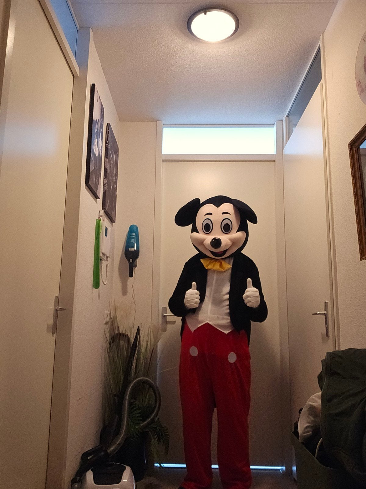 Mickey en Minnie Mouse kostuums voor baby's, Ophalen, Nieuw, 104 of kleiner, Jongen of Meisje