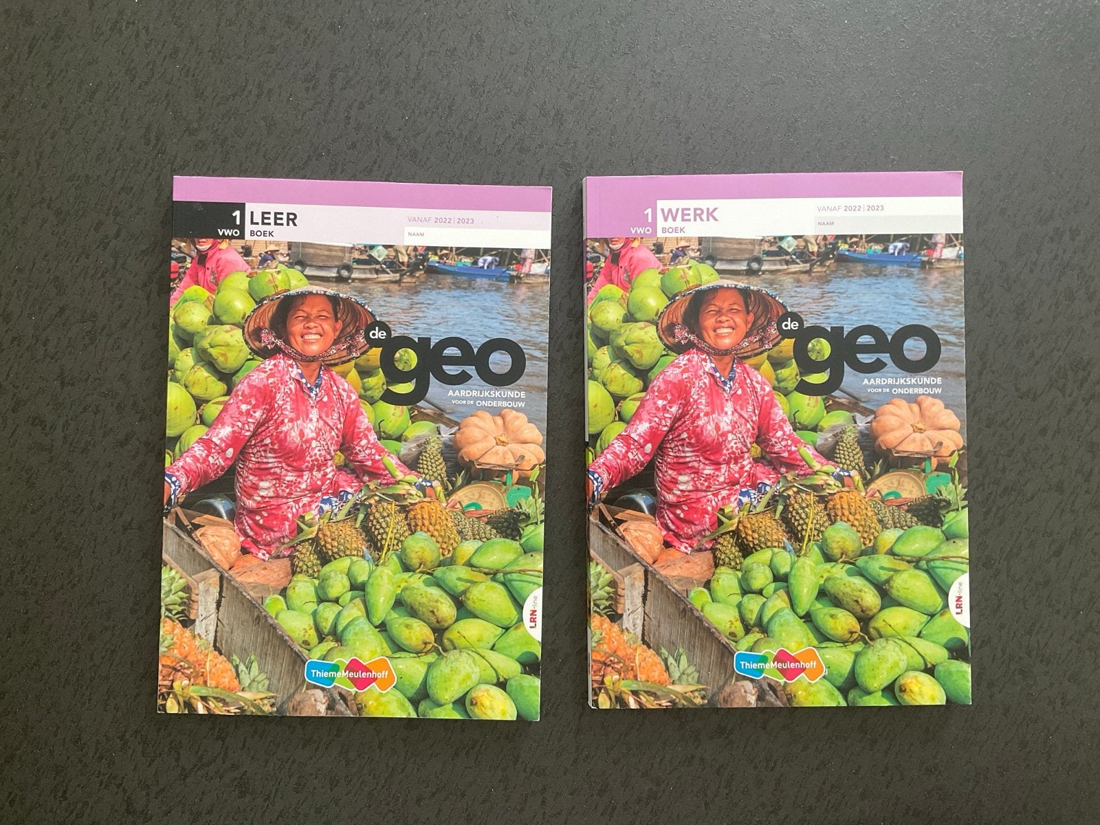 De Geo Aardrijkskunde VWO 1 Leer- en Werkboek (2023), Ophalen of Verzenden, Gamma, Zo goed als nieuw