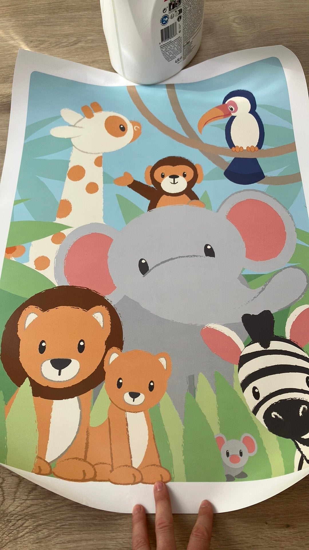 Poster voor kinderkamer A1, Ophalen, Gebruikt, A1 t/m A3, Dier of Natuur