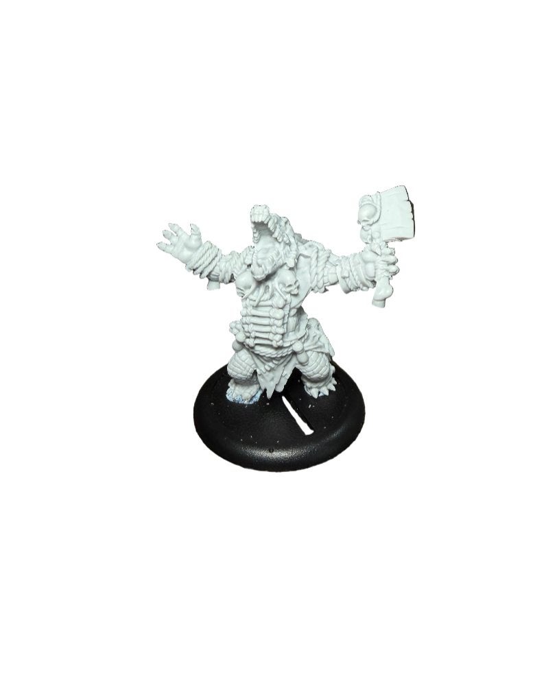 Warmachine Hordes Gatorman Boil Master & Spirit Cauldron, ., Warhammer, Ophalen of Verzenden, Zo goed als nieuw