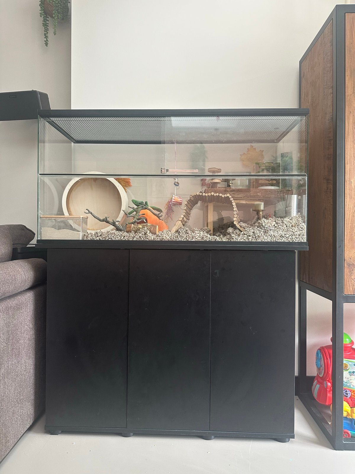 Glazen terrarium incl. kast voor knaagdier, Ophalen, Zo goed als nieuw, Overige typen