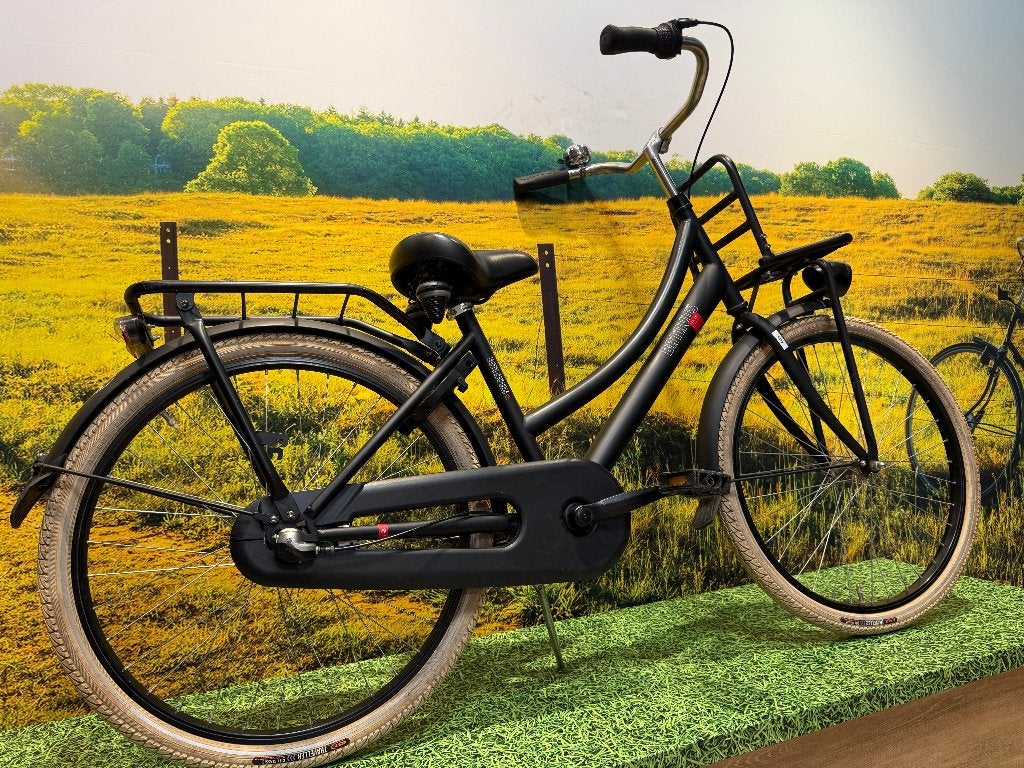 Batavus Kinderfiets, 20 inch of meer, Gebruikt, Velgrem, Batavus