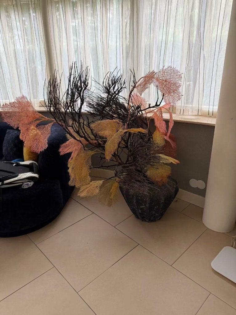 Gratis kustbloemen zeewaaier interieur, Ophalen, Binnen, 140 cm, Kunstbloem