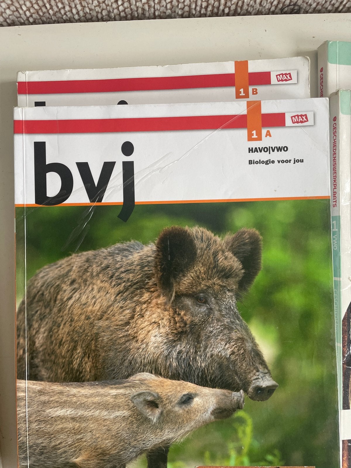 Havo 3 en havo/vwo schoolboeken diverse, Ophalen of Verzenden, Gelezen, HAVO, Biologie