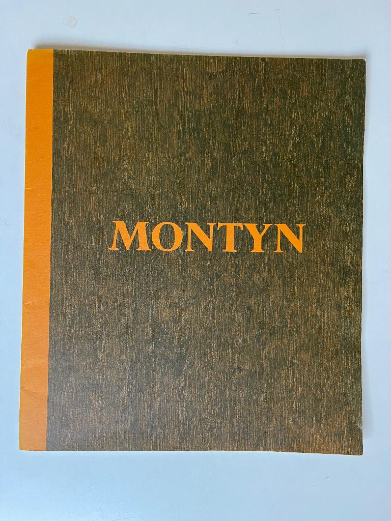 Montyn catalogus 1988, Ophalen of Verzenden, Zo goed als nieuw, Carin Reinders, Schilder- en Tekenkunst