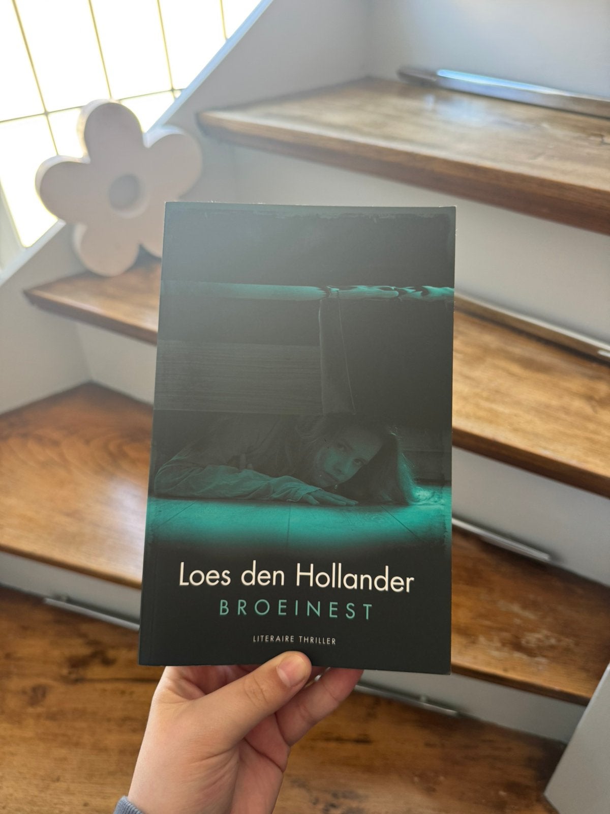 Set van 2 boeken | Loes den Hollander, Ophalen of Verzenden, Gelezen