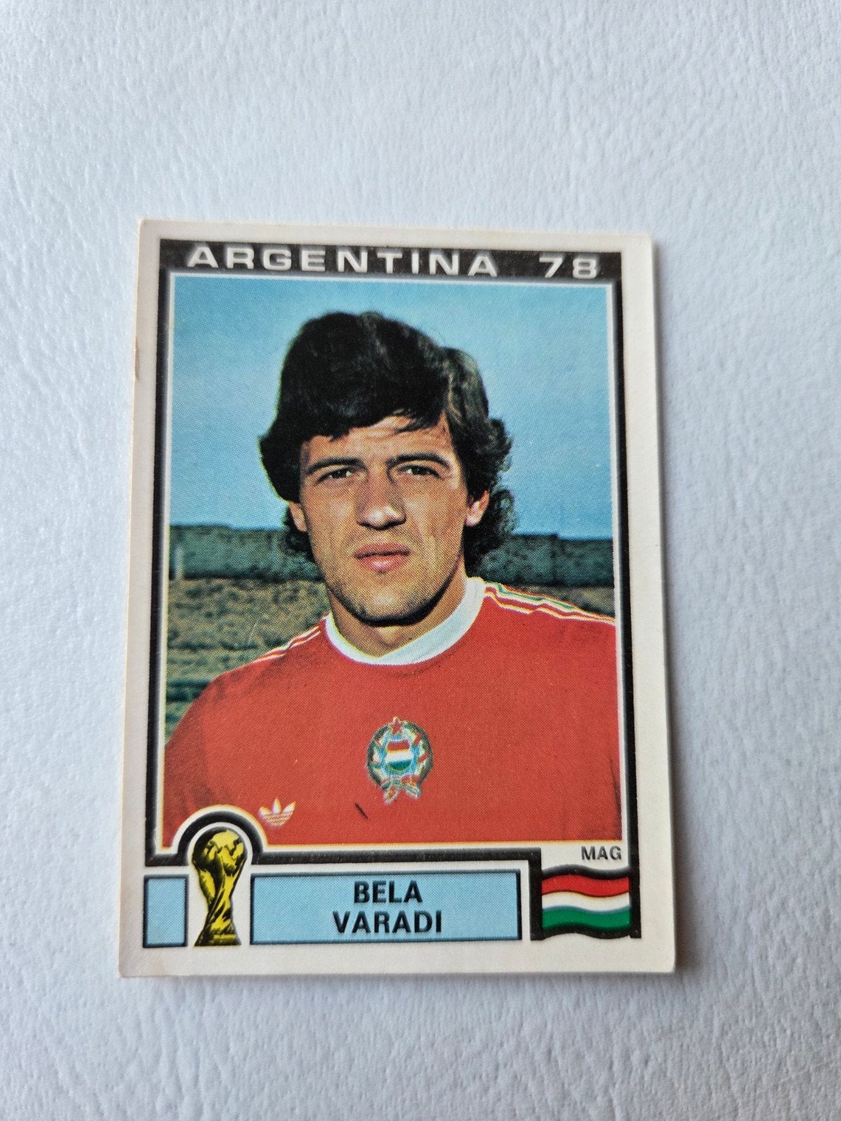 Panini WK 78, Verzamelen, Ophalen of Verzenden, Zo goed als nieuw, Buitenlandse clubs, Poster, Plaatje of Sticker