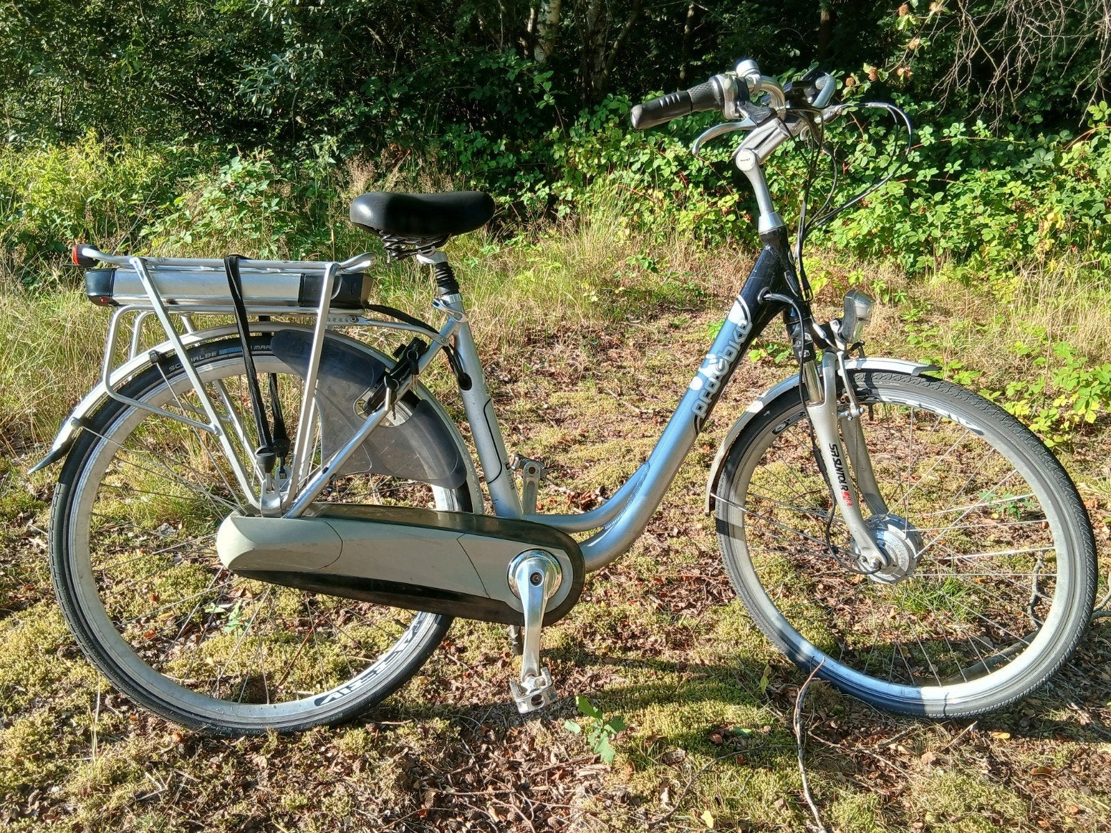 ProEbike Elektrische fiets, Fietsen en Brommers, Elektrische fietsen, 51 tot 55 cm, Ophalen, Gebruikt, Overige merken