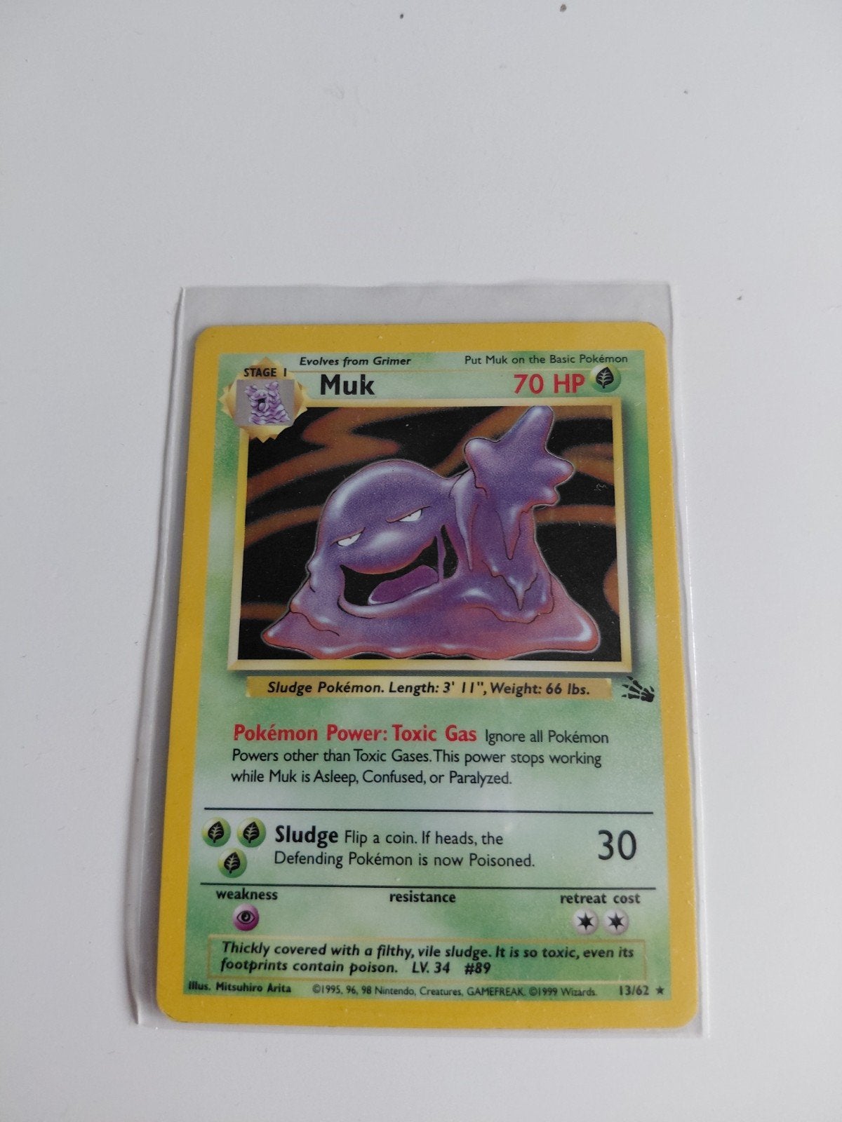 Muk fossil holo, Ophalen of Verzenden, Zo goed als nieuw