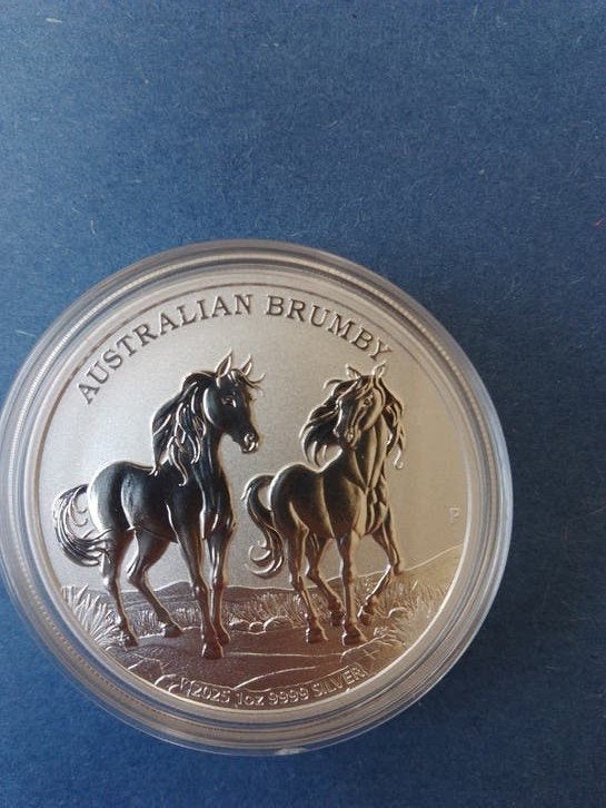 brumby horse 2025 1 oz zilver, Ophalen of Verzenden, Zilver