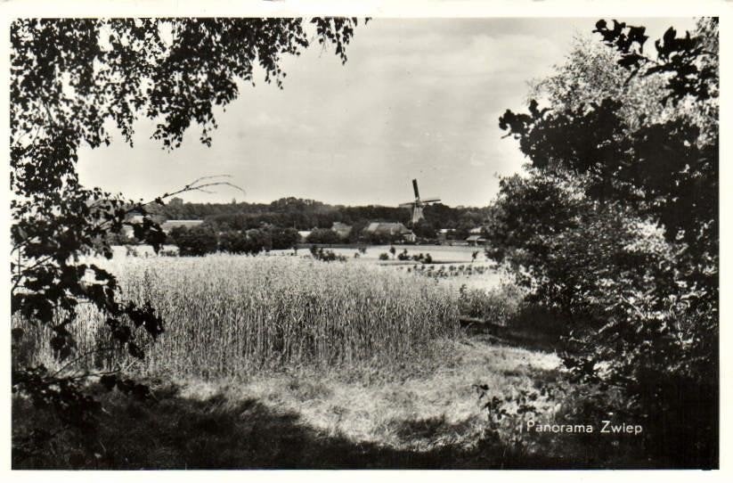 Panorama Zwiep - molen - 1959 gelopen, Ophalen of Verzenden, 1940 tot 1960, Gelopen, Gelderland