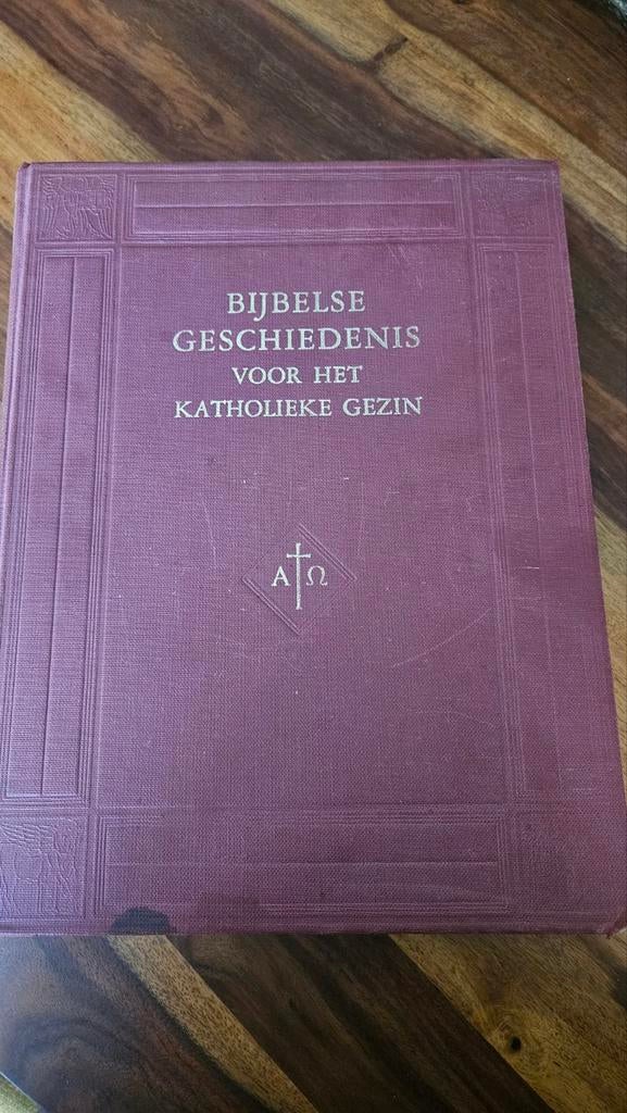 Boek bijbelse geschiedenis, Ophalen of Verzenden, Gelezen
