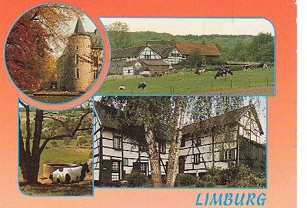 Ansichtkaart 	Limburg	4-luik	Koeien, Verzenden, 1980 tot heden, Gelopen, Limburg